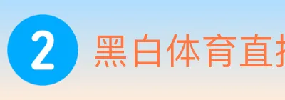黑白体育直播 logo